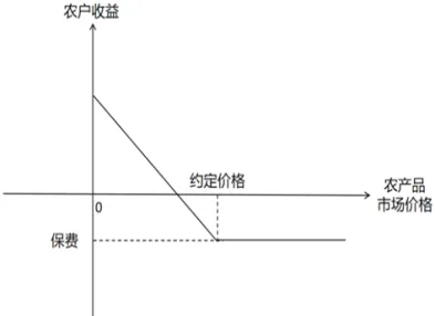 保险期货试点历程(保险期货商业模式)_财金百科_第1张_青花期货直播间 保险期货试点历程(保险期货商业模式)_https://qh.ynbygsw.com_财金百科_第1张