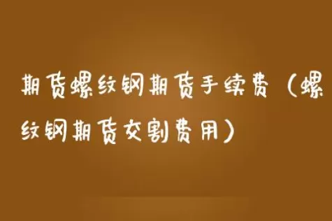 螺纹钢期货一首手续费(螺纹钢期货手续费)_财金百科_第1张_青花期货直播间 螺纹钢期货一首手续费(螺纹钢期货手续费)_https://qh.ynbygsw.com_财金百科_第1张