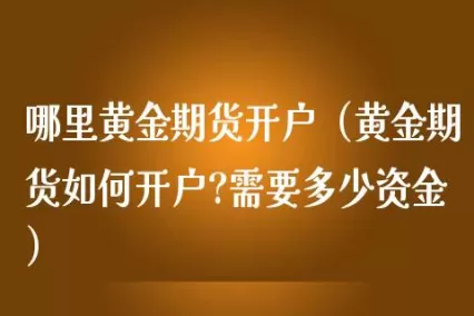 黄金期货交易如何进行(黄金期货怎样交易)_https://qh.ynbygsw.com_期货直播_第1张