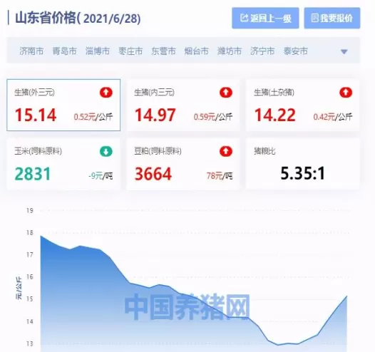 今日生猪期货牛线网(今日生猪期货走势图)_期货直播_第1张_青花期货直播间 今日生猪期货牛线网(今日生猪期货走势图)_https://qh.ynbygsw.com_期货直播_第1张