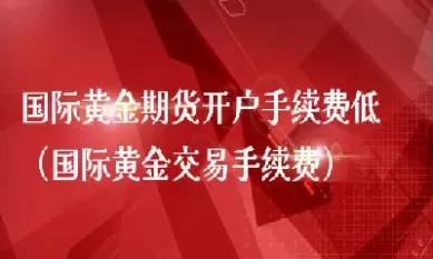 黄金期货平今有手续费吗(黄金期货手续费多少)_国际期货_第1张_青花期货直播间 黄金期货平今有手续费吗(黄金期货手续费多少)_https://qh.ynbygsw.com_国际期货_第1张