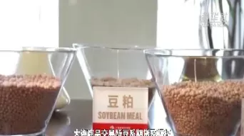 豆一期货还会涨吗(豆一期货受什么影响)_财金知识_第1张_青花期货直播间 豆一期货还会涨吗(豆一期货受什么影响)_https://qh.ynbygsw.com_财金知识_第1张