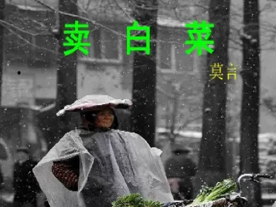 将期货比喻为卖白菜(将期货比喻为卖白菜的人)_期货直播_第1张_青花期货直播间 将期货比喻为卖白菜(将期货比喻为卖白菜的人)_https://qh.ynbygsw.com_期货直播_第1张