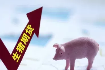 期货生意猪上市(期货生猪什么时候上市)_期货交易_第1张_青花期货直播间 期货生意猪上市(期货生猪什么时候上市)_https://qh.ynbygsw.com_期货交易_第1张