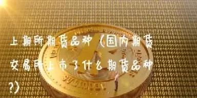 期货什么品种出口多(期货什么品种出口多一点)_https://qh.ynbygsw.com_期货喊单_第1张