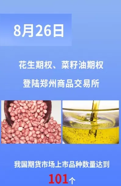 期货市场自动回购可以未选择(期货市场自动回购可以未选择交易吗)_国际期货_第1张_青花期货直播间 期货市场自动回购可以未选择(期货市场自动回购可以未选择交易吗)_https://qh.ynbygsw.com_国际期货_第1张