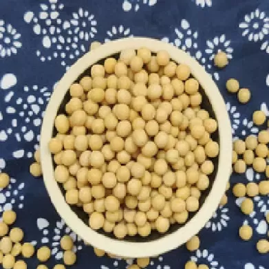 黄豆二号2109期货价格(黄豆二号期货实时行情)_期货直播_第1张_青花期货直播间 黄豆二号2109期货价格(黄豆二号期货实时行情)_https://qh.ynbygsw.com_期货直播_第1张