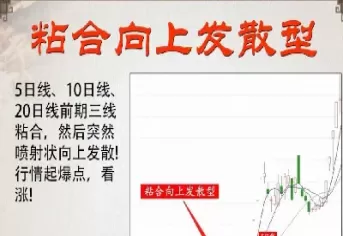期货大道至简双均线(期货精髓大道至简均线)_期货交易_第1张_青花期货直播间 期货大道至简双均线(期货精髓大道至简均线)_https://qh.ynbygsw.com_期货交易_第1张