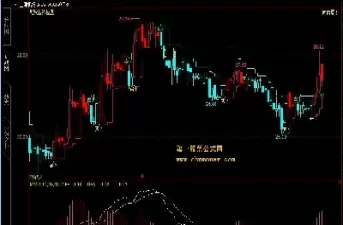 1213期货趋势(期货2103)_财金百科_第1张_青花期货直播间 1213期货趋势(期货2103)_https://qh.ynbygsw.com_财金百科_第1张