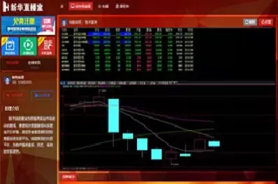 新华油原油直播室在哪看(原油直播室新华)_财金知识_第1张_青花期货直播间 新华油原油直播室在哪看(原油直播室新华)_https://qh.ynbygsw.com_财金知识_第1张