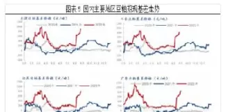 期货中豆粕主力和豆粕次主力(期货中豆粕主力和豆粕次主力的区别)_期货喊单_第1张_青花期货直播间 期货中豆粕主力和豆粕次主力(期货中豆粕主力和豆粕次主力的区别)_https://qh.ynbygsw.com_期货喊单_第1张