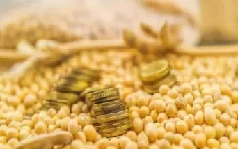 重庆大豆油期货出厂价(重庆大豆油期货出厂价格是多少)_财金知识_第1张_青花期货直播间 重庆大豆油期货出厂价(重庆大豆油期货出厂价格是多少)_https://qh.ynbygsw.com_财金知识_第1张