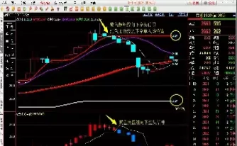 期货能杠杆股票为什么不让(期货为什么能杠杆交易)_期货交易_第1张_青花期货直播间 期货能杠杆股票为什么不让(期货为什么能杠杆交易)_https://qh.ynbygsw.com_期货交易_第1张