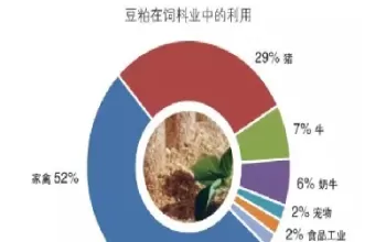 豆粕期货品级(豆粕期货品级标准)_期货交易_第1张_青花期货直播间 豆粕期货品级(豆粕期货品级标准)_https://qh.ynbygsw.com_期货交易_第1张