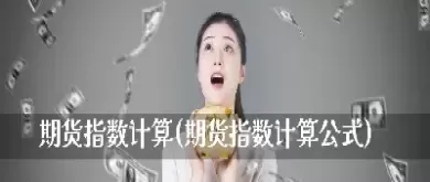 期货外汇的计算公式(期货外汇的计算公式是什么)_期货喊单_第1张_青花期货直播间 期货外汇的计算公式(期货外汇的计算公式是什么)_https://qh.ynbygsw.com_期货喊单_第1张