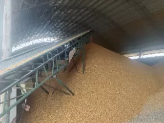 饲料原料期货套保(钢材期货套保规则)_期货喊单_第1张_青花期货直播间 饲料原料期货套保(钢材期货套保规则)_https://qh.ynbygsw.com_期货喊单_第1张