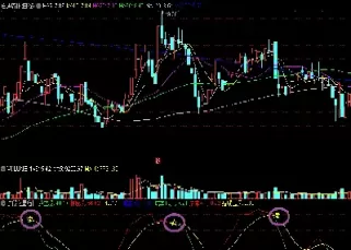 超准精准期货指标(超准精准期货指标公式)_财金百科_第1张_青花期货直播间 超准精准期货指标(超准精准期货指标公式)_https://qh.ynbygsw.com_财金百科_第1张