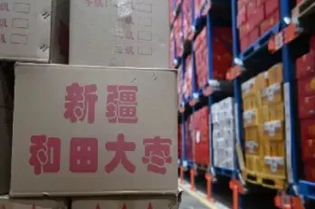 红枣期货在郑商所上市交易(郑商所红枣期货交割标准)_期货喊单_第1张_青花期货直播间 红枣期货在郑商所上市交易(郑商所红枣期货交割标准)_https://qh.ynbygsw.com_期货喊单_第1张