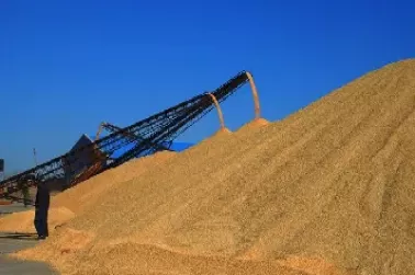 粮食期货单位(粮食期货单位是什么)_https://qh.ynbygsw.com_财金百科_第1张