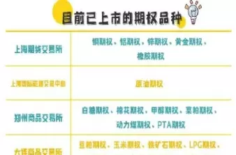交易所期权期货(交易所期权期货交易)_https://qh.ynbygsw.com_财金百科_第1张