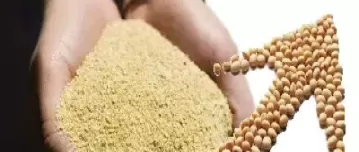 大豆期货和豆粕期货(大豆期货和豆粕期货关系)_财金知识_第1张_青花期货直播间 大豆期货和豆粕期货(大豆期货和豆粕期货关系)_https://qh.ynbygsw.com_财金知识_第1张