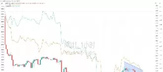 期货开了户没交易(期货开了户没交易会产生手续费吗)_期货直播_第1张_青花期货直播间 期货开了户没交易(期货开了户没交易会产生手续费吗)_https://qh.ynbygsw.com_期货直播_第1张