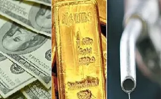 黄金原油有没有好的直播(黄金原油24小时直播间)_https://qh.ynbygsw.com_期货喊单_第1张