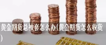 期货主力被套了(期货主力被套了还能买吗)_国际期货_第1张_青花期货直播间 期货主力被套了(期货主力被套了还能买吗)_https://qh.ynbygsw.com_国际期货_第1张