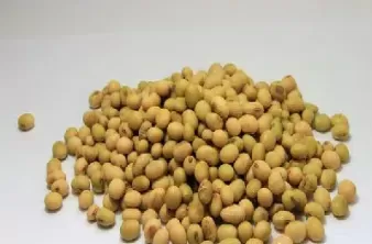 大豆2号期货(大豆2号期货1905)_财金知识_第1张_青花期货直播间 大豆2号期货(大豆2号期货1905)_https://qh.ynbygsw.com_财金知识_第1张