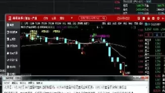 叮当期货直播室(国际期货直播频道)_财金百科_第1张_青花期货直播间 叮当期货直播室(国际期货直播频道)_https://qh.ynbygsw.com_财金百科_第1张