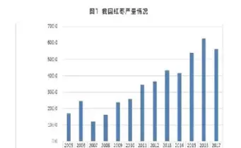 红枣期货时间(红枣期货时间几点开盘)_https://qh.ynbygsw.com_期货交易_第1张