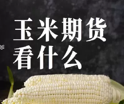 玉米期货平仓时间(玉米期货平仓时间是几点)_期货喊单_第1张_青花期货直播间 玉米期货平仓时间(玉米期货平仓时间是几点)_https://qh.ynbygsw.com_期货喊单_第1张
