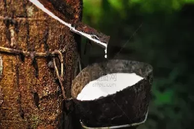 天然橡胶期货推出(天然橡胶期货交易)_国际期货_第1张_青花期货直播间 天然橡胶期货推出(天然橡胶期货交易)_https://qh.ynbygsw.com_国际期货_第1张