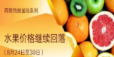 水果期货价格(水果期货价格走势图)_财金百科_第1张_青花期货直播间 水果期货价格(水果期货价格走势图)_https://qh.ynbygsw.com_财金百科_第1张