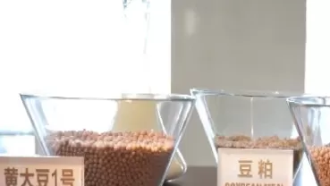 10月大豆期货(10大豆期货行情走势图)_期货直播_第1张_青花期货直播间 10月大豆期货(10大豆期货行情走势图)_https://qh.ynbygsw.com_期货直播_第1张