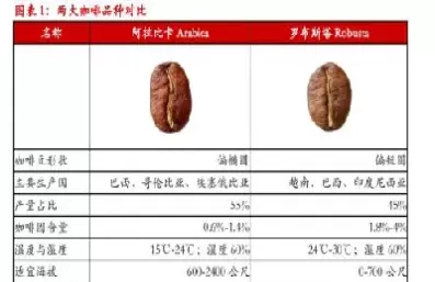 美国咖啡期货报价怎么计算(美国咖啡期货报价怎么计算的)_期货喊单_第1张_青花期货直播间 美国咖啡期货报价怎么计算(美国咖啡期货报价怎么计算的)_https://qh.ynbygsw.com_期货喊单_第1张