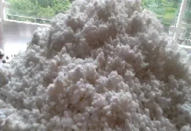 纸浆期货利好股票吗(纸浆期货涨利好什么)_财金百科_第1张_青花期货直播间 纸浆期货利好股票吗(纸浆期货涨利好什么)_https://qh.ynbygsw.com_财金百科_第1张