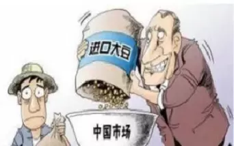 大豆期货退市了吗(大豆期货退市了吗现在)_期货喊单_第1张_青花期货直播间 大豆期货退市了吗(大豆期货退市了吗现在)_https://qh.ynbygsw.com_期货喊单_第1张