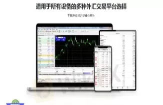 期货c4都测评什么(期货c4都测评什么内容)_期货喊单_第1张_青花期货直播间 期货c4都测评什么(期货c4都测评什么内容)_https://qh.ynbygsw.com_期货喊单_第1张