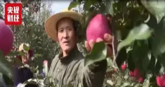 苹果期货很妖(苹果期货妖果)_期货喊单_第1张_青花期货直播间 苹果期货很妖(苹果期货妖果)_https://qh.ynbygsw.com_期货喊单_第1张