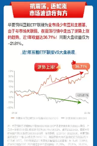 豆类期货大涨(豆类期货大涨原因)_财金百科_第1张_青花期货直播间 豆类期货大涨(豆类期货大涨原因)_https://qh.ynbygsw.com_财金百科_第1张