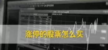 期货跌停不开(期货跌停不开板怎么办)_财金百科_第1张_青花期货直播间 期货跌停不开(期货跌停不开板怎么办)_https://qh.ynbygsw.com_财金百科_第1张