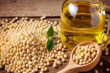 大豆油期货和实物豆油同时涨跌吗(大豆油价期货实时行情)_国际期货_第1张_青花期货直播间 大豆油期货和实物豆油同时涨跌吗(大豆油价期货实时行情)_https://qh.ynbygsw.com_国际期货_第1张