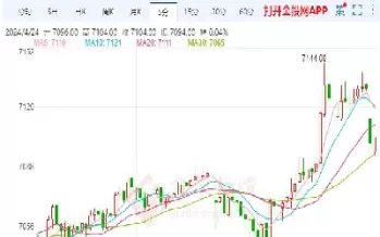 这次是摩根大通期货(哪里查看摩根大通期货)_https://qh.ynbygsw.com_财金知识_第1张