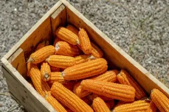 玉米1810期货(期货玉米1811)_财金知识_第1张_青花期货直播间 玉米1810期货(期货玉米1811)_https://qh.ynbygsw.com_财金知识_第1张