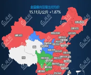 生猪期货尾盘(生猪期货尾盘下跌)_期货直播_第1张_青花期货直播间 生猪期货尾盘(生猪期货尾盘下跌)_https://qh.ynbygsw.com_期货直播_第1张