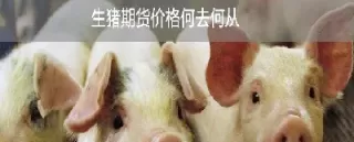 生猪属于商品期货吗(生猪属于商品期货吗为什么)_https://qh.ynbygsw.com_财金知识_第1张