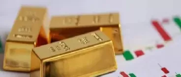 期货散户存活时间(期货散户的账户存活期)_财金知识_第1张_青花期货直播间 期货散户存活时间(期货散户的账户存活期)_https://qh.ynbygsw.com_财金知识_第1张