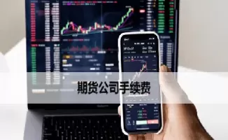 期货交易手续费加一分(期货手续费加一毛怎么算)_期货喊单_第1张_青花期货直播间 期货交易手续费加一分(期货手续费加一毛怎么算)_https://qh.ynbygsw.com_期货喊单_第1张