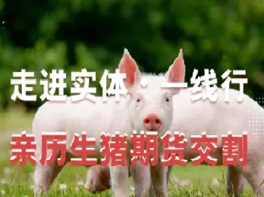 期货生猪可以抄底吗(生猪期货能抄底吗)_期货喊单_第1张_青花期货直播间 期货生猪可以抄底吗(生猪期货能抄底吗)_https://qh.ynbygsw.com_期货喊单_第1张